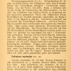 lyc diana miller4